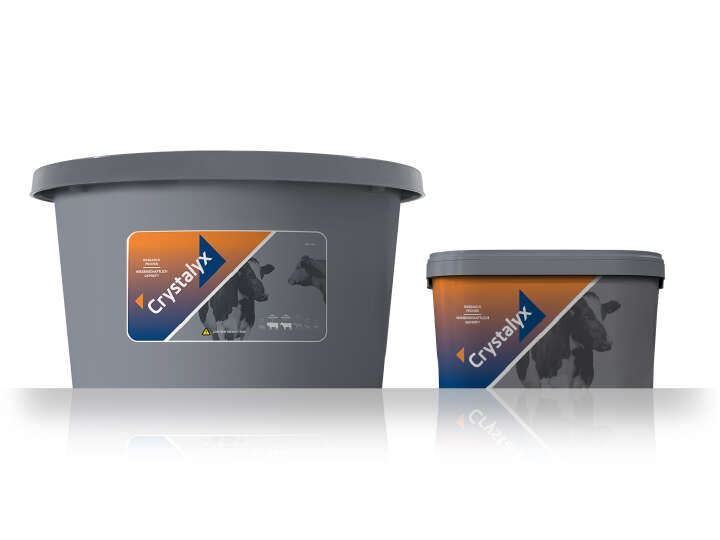 CRYSTALYX Rumilyx (Grau)